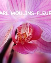 Moulins Fleurs image 1