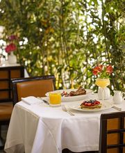 Sunlit restaurant table set for breakfast or brunch, with white tablecloths, leather chairs, fresh pastries topped with berries, juice and cocktails, surrounded by lush indoor greenery creating a garden-like atmosphere.