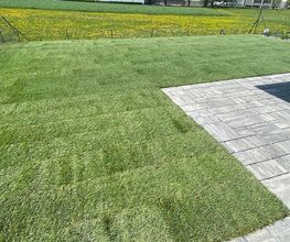 Gatti e Ticozzi Giardini Sagl Bild 10