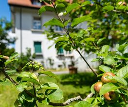 Verein Sterbehospiz Solothurn Bild 8