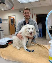 West Park Animal Hospital image 18