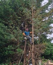 Quandalle Clément image 5