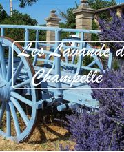 Les Lavandes de Champelle image 4