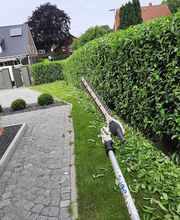 Bismarck Reinigung Bild 6