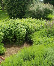 Ted Multiservices image 17