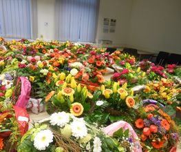 Blumen Lessle Bild 5