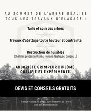 Au sommet de l'arbre image 3