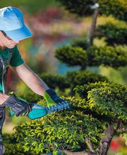 Ceytaire Emmanuel image 5