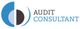 Audit Consultant