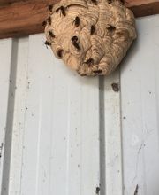 Action 3D Nuisibles image 11