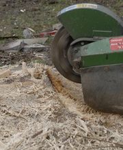 Rochefort Bois image 10