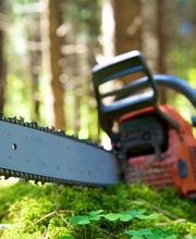 Hans-Michael Reuter Bild 1