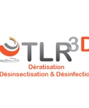 TLR3D image 10