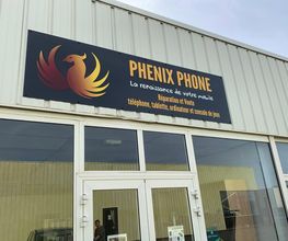 PHENIX PHONE image 3