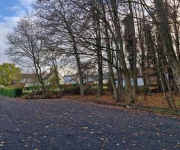 FriedWald Ohetal Bild 2