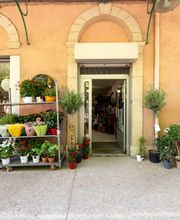 Côté Fleurs image 10