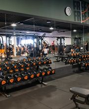 Basic-Fit 24/7 afbeelding 1