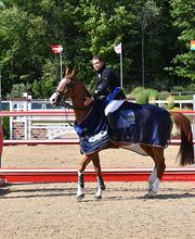Silver Oak Jumper Tournament image 11