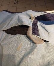 Equi'lavage image 11