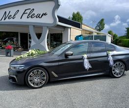 Nel Fleur image 2