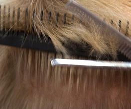 Karine Coiffure image 1