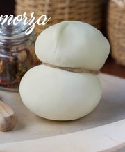 Gallery Professionale