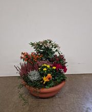 Jardinerie Fleuristerie Hämmerli SNC Bild 7