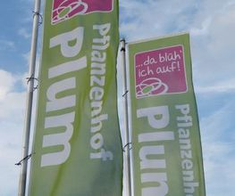 Pflanzenhof Plum Bild 1