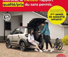 Voiture Sans Permis image 9