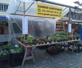 Gander Gartenbau Bild 5