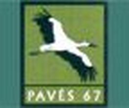 Paves 67 image 4