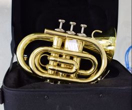 ED Music image 5