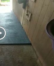 ImGEx GmbH & Co. KG Bild 11