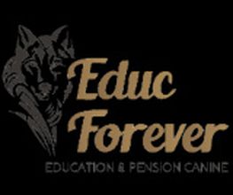 Educ-Forever image 17