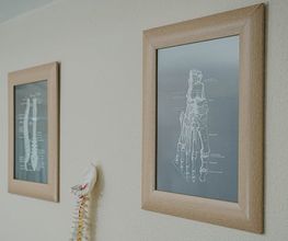 300408713-1-nCeifjON6I1784544551226.jpeg
