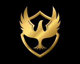 Azizi Security & Service GmbH