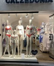 Calzedonia immagine 1