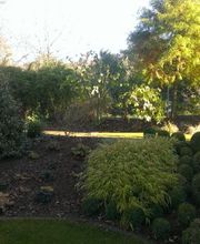 Galabau März Bild 2