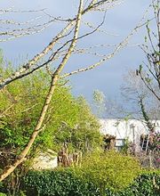 La Forêt des Ronrons image 6