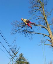 Entreprise Lecoq image 1