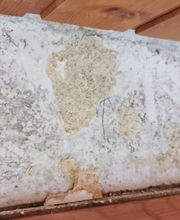 Esther Hohl-Bünzli GmbH Malergeschäft Bild 4