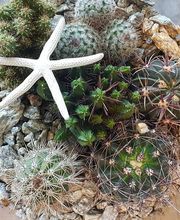 Hertig Fleurs Bild 5