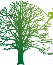 Au Fil De L'arbre image 2