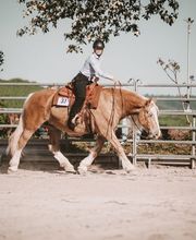 Carowesa Westernreiten Bild 8
