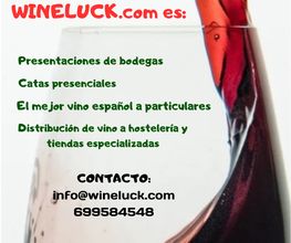 232254540-1-0V1yWN19lC1697467081367.png