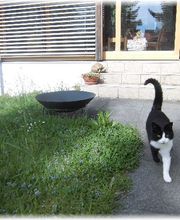 BBBilstein.ch Bild 4