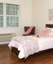 Renaissance of Annandale image 12