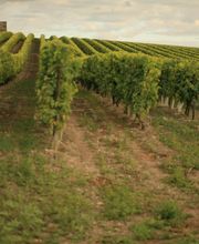 G ET C RABY SARL image 7