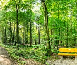 FriedWald Cloppenburg Bild 11