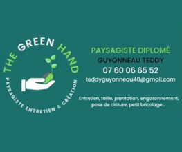 The Green Hand image 1